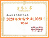 海南省企業100強